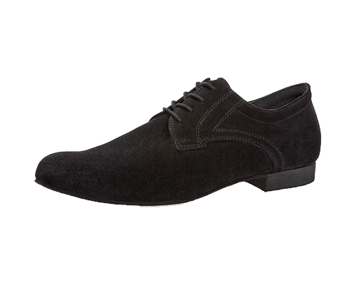 Model 085-026-001